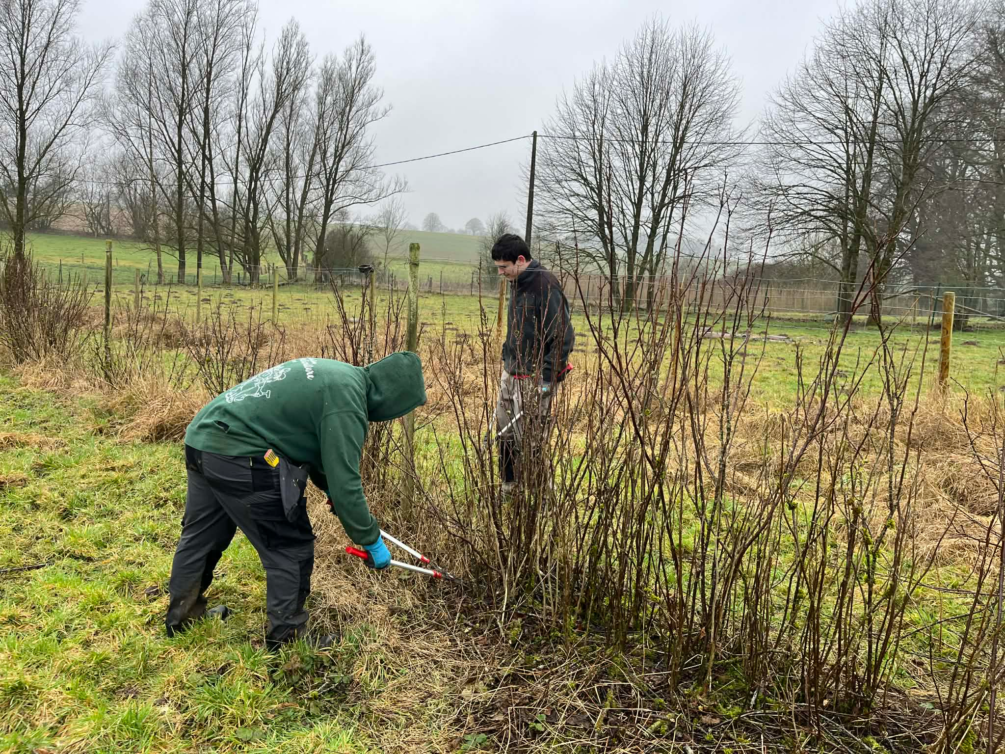 Bénévolat à la Ferme des Roses